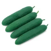 Emerald Cucumber (Hybrid) Seeds
