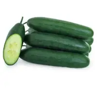 Gorgeous Cucumber (Hybrid) Seeds