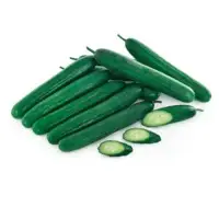 Lightning Cucumber (Hybrid) Seeds