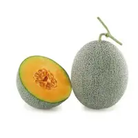 Aroma Melon (Hybrid) Seeds