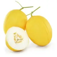 Puma Melon (Hybrid) Seeds