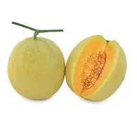 Rumba Melon (Hybrid) Seeds