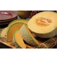 SPML63 Melon (Hybrid) Seeds