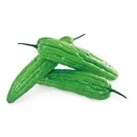 Daphne Bitter Gourd Vegetable Seeds