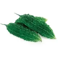Enchant Bitter Gourd Vegetable Seeds