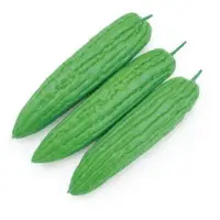 Jaden Bitter Gourd Vegetable Seeds