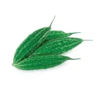 Lush Bitter Gourd Vegetable Seeds