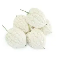 Rococo Bitter Gourd Vegetable Seeds