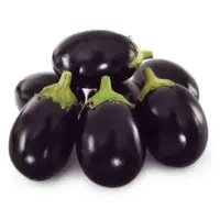 Choco Eggplant (Hybrid) Seeds