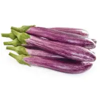 Fiancee Eggplant (Hybrid) Seeds