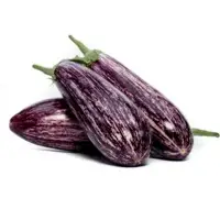 S133-133 Eggplant (Hybrid) Seeds
