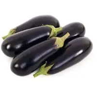 Sapphire Eggplant (Hybrid) Seeds