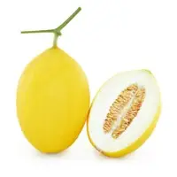 Glorious+ Melon (Hybrid) Seeds