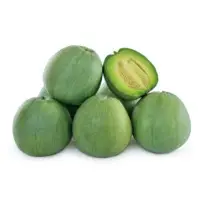 Jade Melon (Hybrid) Seeds