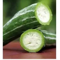SPSG10 F1 Hybrid Snake Gourd Seeds