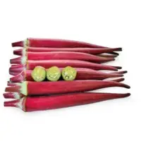 Chant Okra (Hybrid) Seeds