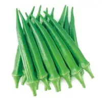 Greennie Okra (Hybrid) Seeds