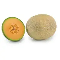 Joyride Melon (Hybrid) Seeds