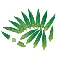 Liv+ Okra (Hybrid) Seeds