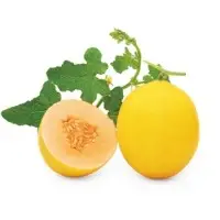 Luna Melon (Hybrid) Seeds