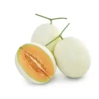 Orange Melody Melon (Hybrid) Seeds