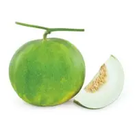 Prity Melon (Hybrid) Seeds
