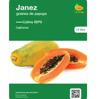 Janez - Papaya Seed
