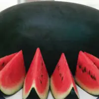 Ikaika F1 - Watermelon Seeds