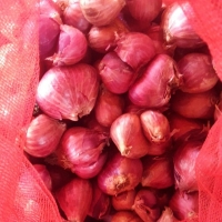 Small Onions