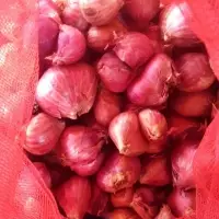 Small Onions