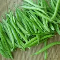 Cluster Beans