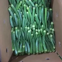 Okra
