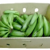 Raw Banana & Ash Banana