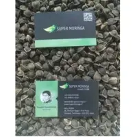 Wingless Moringa Seed