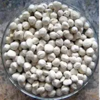 Moringa Seed Kernel