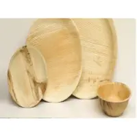 Areca Leaf Plate