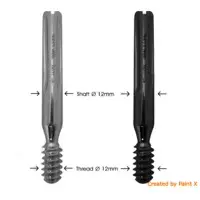 Lag Screw