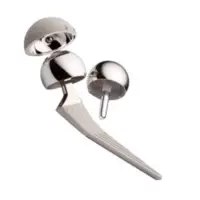 Hip Prosthesis