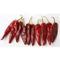 Dry Red Chilli