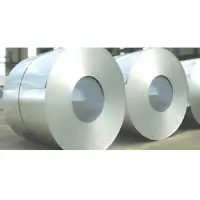 HDG Coils
