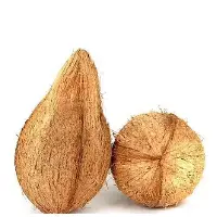 Semi Husked Coconuts