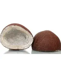 Copra (Dried Coconut Meat)