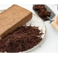 Coconut Peat