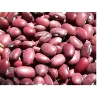 Kidney Beans