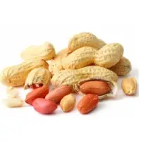 Best Quality Peanuts