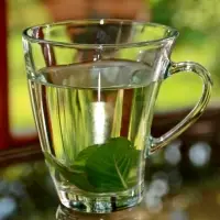 Peppermint Oil