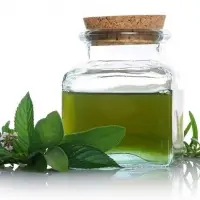 Spearmint Oil