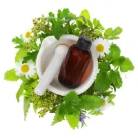 Patchouli Oil