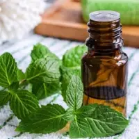 Patchouli Oil