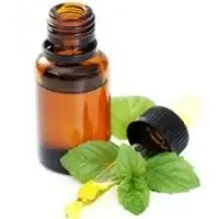 Spearmint Oil